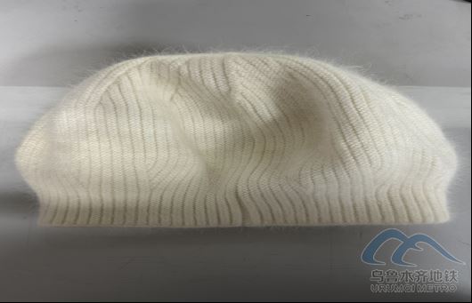 2025年11月13日地铁1号线站内遗失物品90.png 2025年11月13日地铁1号线站内遗失物品90.png