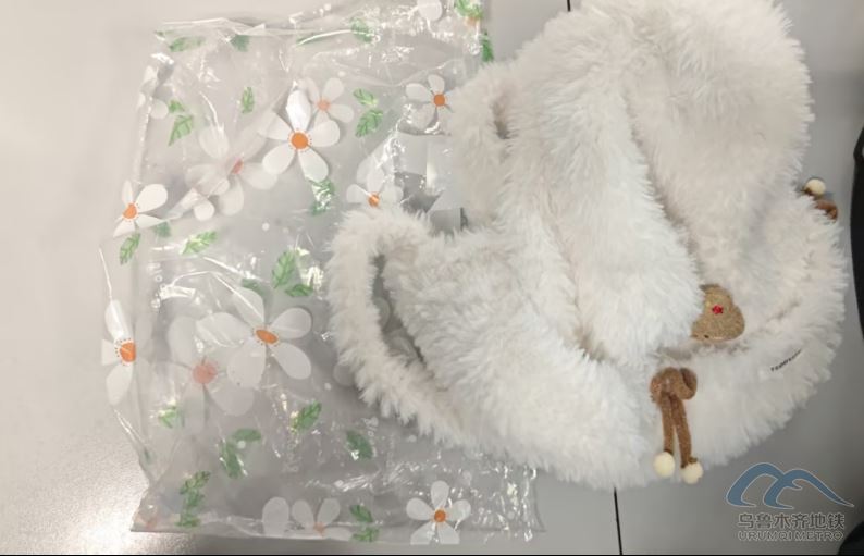 2025年12月13日地铁1号线站内遗失物品清单462.png 2025年12月13日地铁1号线站内遗失物品清单462.png