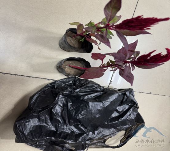 2025年7月23日地铁1号线站内遗失物品1070.png 2025年7月23日地铁1号线站内遗失物品1070.png