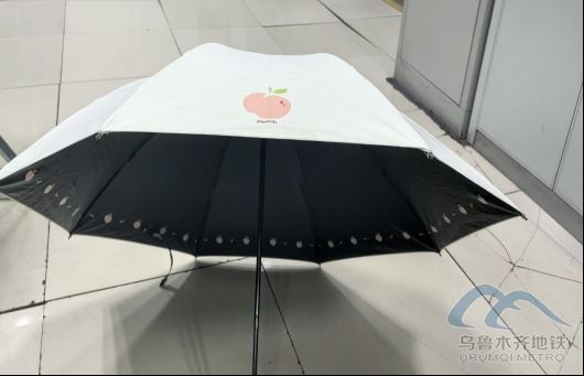 2025年8月12日地铁1号线站内遗失物品447.png 2025年8月12日地铁1号线站内遗失物品447.png