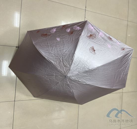 2025年9月3日地铁1号线站内遗失物品642.png 2025年9月3日地铁1号线站内遗失物品642.png