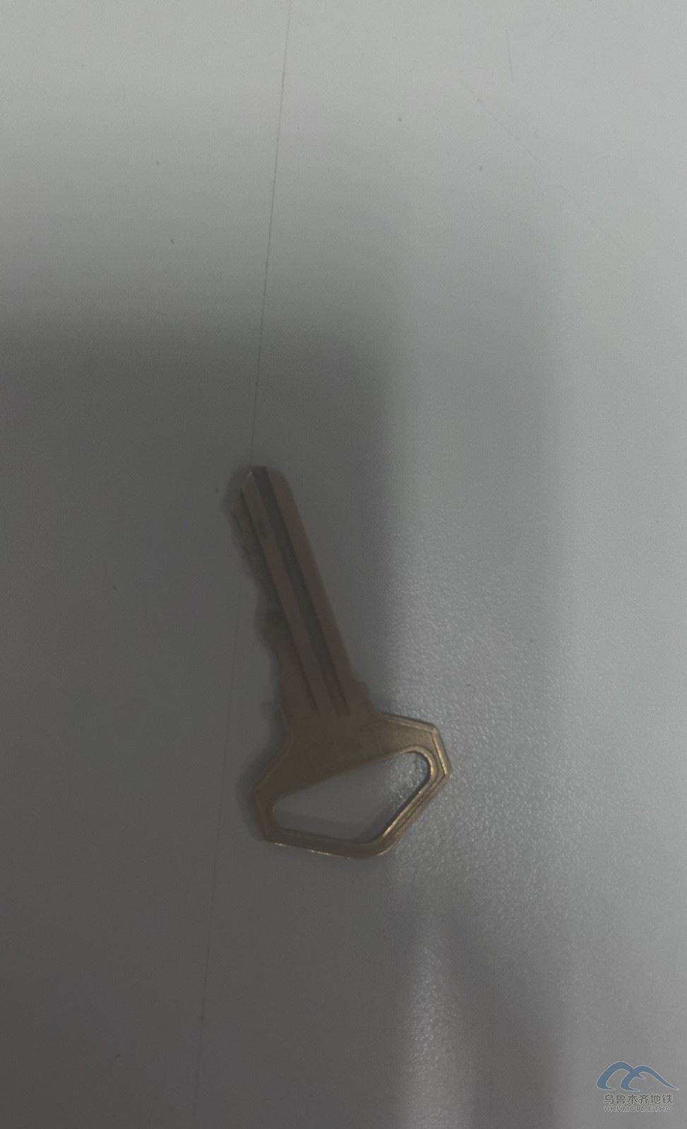 87f5454fa205f04a7b33af008d2ff02b_compress.jpg 87f5454fa205f04a7b33af008d2ff02b_compress.jpg